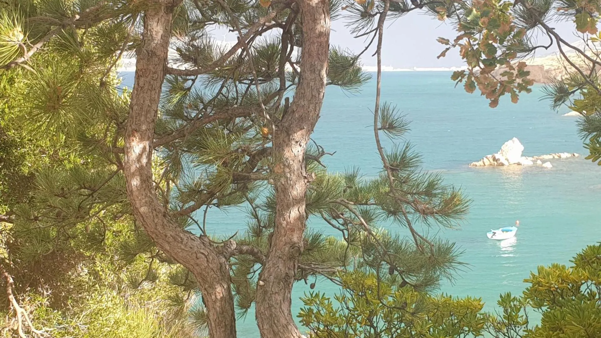 Villa Sortis Bosana